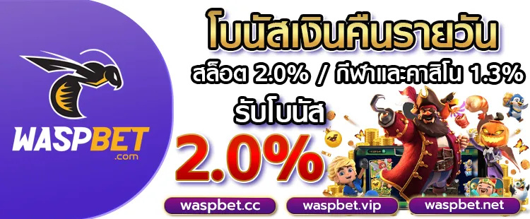 โปรโมชั่น waspbet สล็อต ทางเข้า